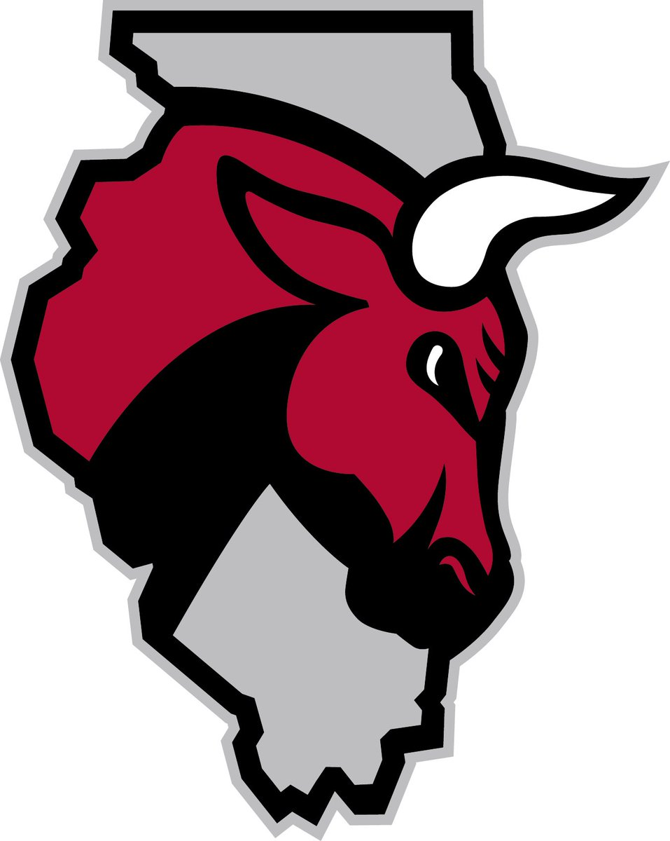 Windy City Bulls 2016-Pres Secondary Logo iron on transfers for clothing